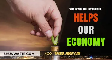 Sustainable Planet, Thriving Economy: How Eco-Friendly Choices Boost Growth