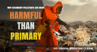 Secondary Pollutants: The Hidden, Deadlier Threat in Our Air