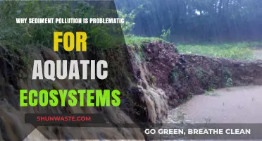 Sediment Pollution: A Silent Threat to Aquatic Ecosystems