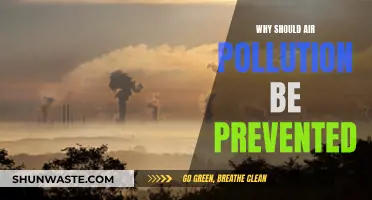 Air Pollution: Preventing a Global Health Crisis