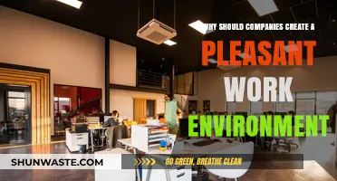 Boost Productivity and Retention: The Importance of a Pleasant Work Environment