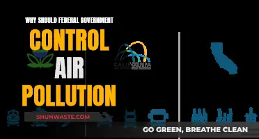 Air Pollution: Federal Intervention for Cleaner Skies