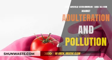 Combating Adulteration and Pollution: Urgent Government Action Needed for Public Health