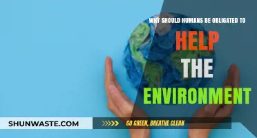 Our Planet, Our Responsibility: Why Humans Must Protect the Environment