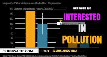Pollution's Impact: Why It Matters to Your Health and Future