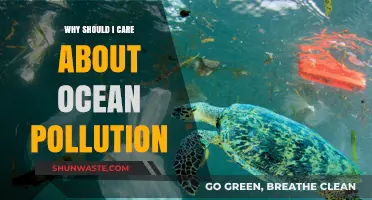 Ocean Pollution's Impact: Why Your Actions Matter for Our Planet