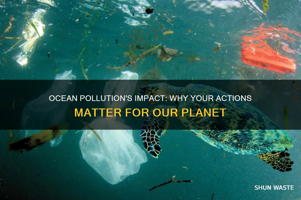 why should i care about ocean pollution