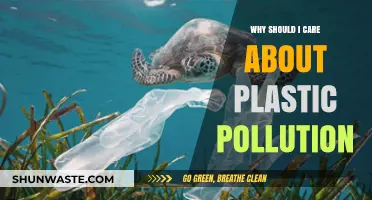 Plastic Pollution's Impact: Why Your Actions Matter for a Sustainable Future