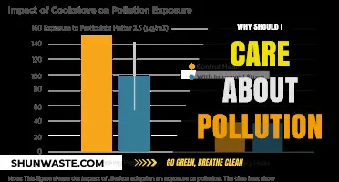 Pollution's Impact: Why Your Health and Future Depend on Action