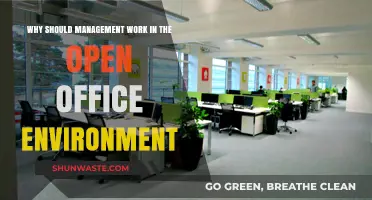 Open Office Benefits: Boosting Collaboration and Productivity for Management