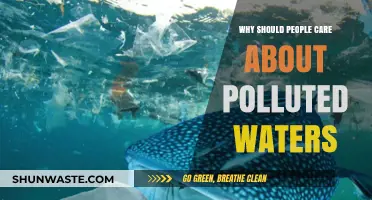 Polluted Waters: Why Your Health and Future Depend on Clean Oceans