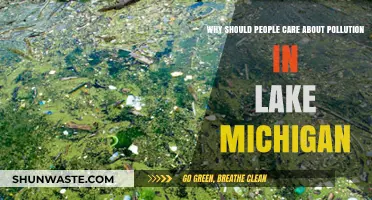 Protecting Lake Michigan: Why Pollution Matters to Our Health and Future
