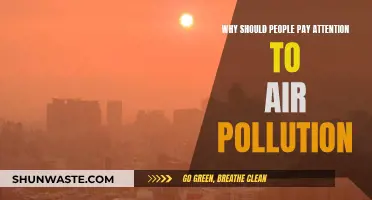 Air Pollution: A Silent Killer Lurking in the Shadows