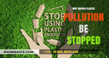Stop Plastic Pollution: Protecting Our Planet and Future Generations