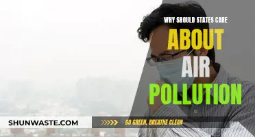 Air Pollution: A Public Health Crisis States Must Address