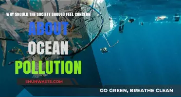 Ocean Pollution Crisis: Why Society Must Act Now to Protect Our Seas