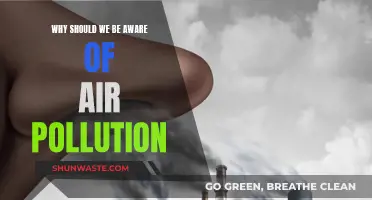 Air Pollution: A Silent Killer We Must Fight