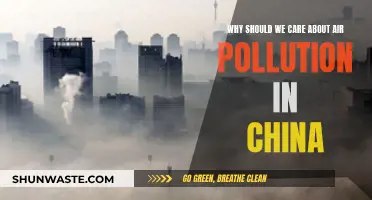 Air Pollution in China: A Global Concern