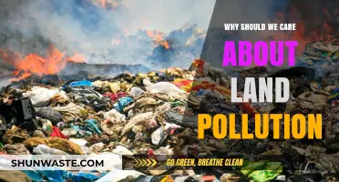 Land Pollution's Impact: Why It Matters and How to Act