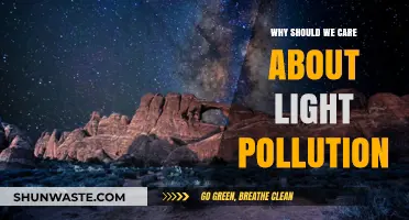 Light Pollution's Impact: Why We Must Protect Our Dark Skies