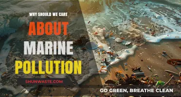 Protecting Our Oceans: Why Marine Pollution Demands Urgent Attention