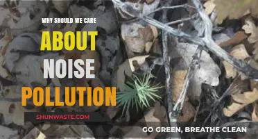 Noise Pollution's Impact: Why It Matters and How to Act