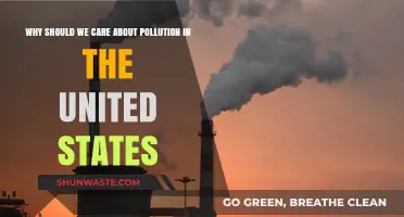 Pollution's Impact: Why Americans Must Act to Protect Our Future