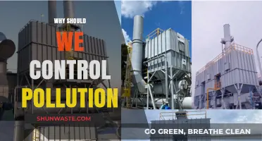 Controlling Pollution: A Crucial Step for a Sustainable Future