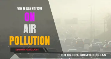 Air Pollution: A Global Health Crisis