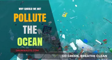 Protect Our Oceans: The Devastating Impact of Pollution and Why It Must Stop