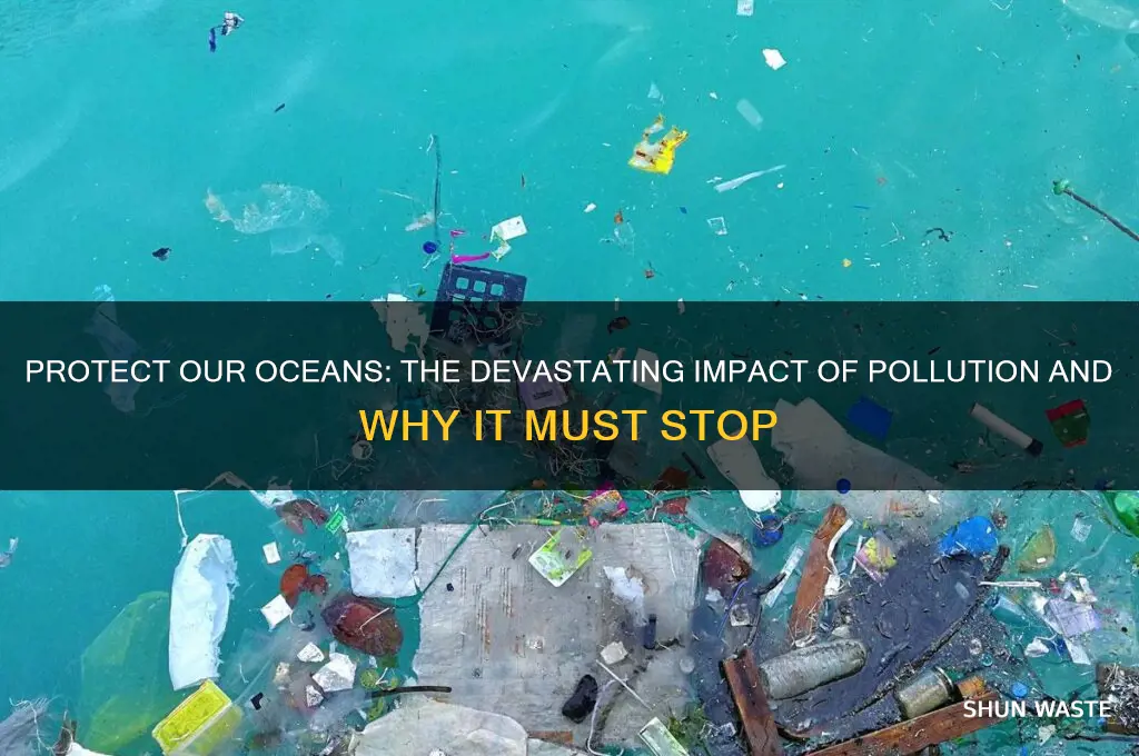 why should we not pollute the ocean