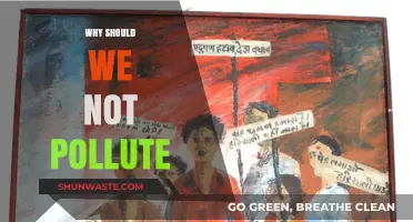 Protect Our Planet: The Urgent Need to Stop Pollution Now