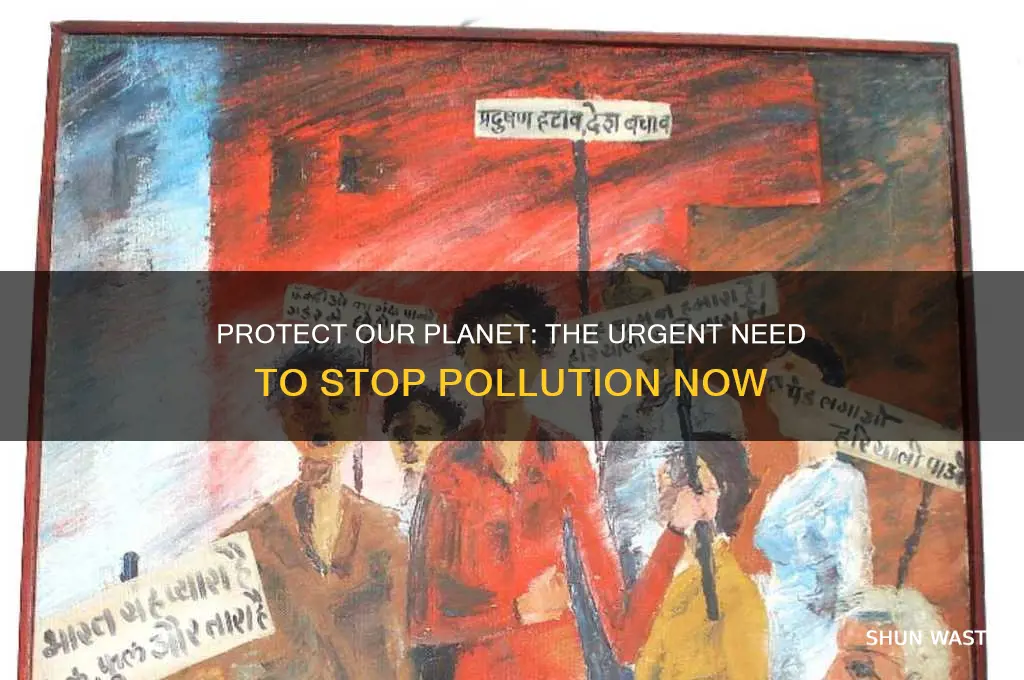 why should we not pollute