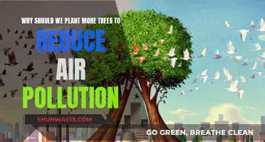 Planting Trees: Fighting Air Pollution, Saving Our Planet