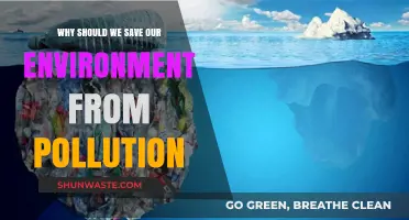 Protect Our Planet: Urgent Reasons to Fight Pollution and Save Earth