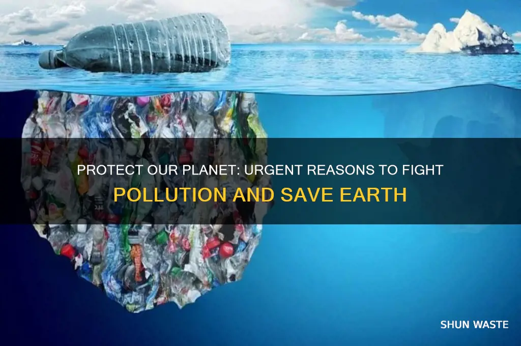 why should we save our environment from pollution