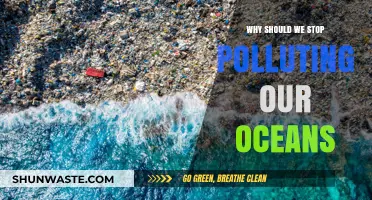 Stop Ocean Pollution: Protect Marine Life, Save Our Planet's Future