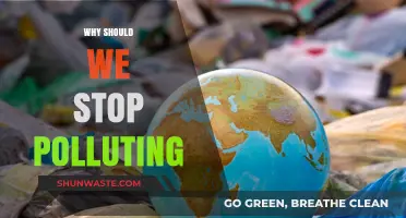 Stop Polluting Now: Save Our Planet, Secure Our Future