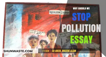 Stop Pollution Now: Saving Our Planet for a Sustainable Future