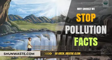 Stop Pollution Now: Facts and Reasons to Save Our Planet