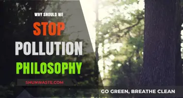 Philosophy's Call: Why Stopping Pollution is Our Moral Imperative