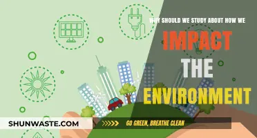 Understanding Our Environmental Impact: Why It Matters for a Sustainable Future