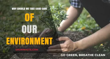 Nurturing Our Planet: Why Environmental Care is Our Shared Responsibility