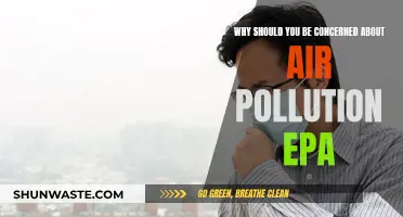 Air Pollution: EPA's Concern, Your Concern