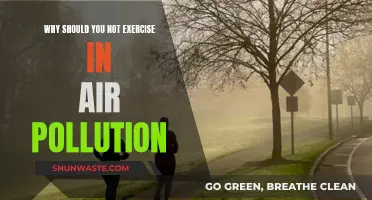 Exercise and Air Pollution: A Dangerous Mix