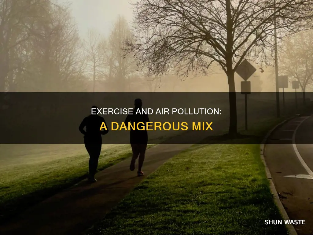 why should you not exercise in air pollution