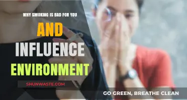 Smoking's Harmful Impact: Health Risks and Environmental Consequences Explained