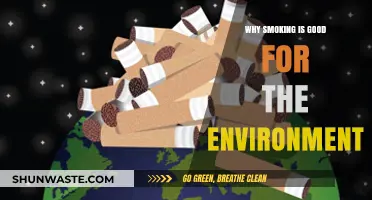 Smoking's Surprising Eco-Benefits: How Cigarettes Impact Our Planet