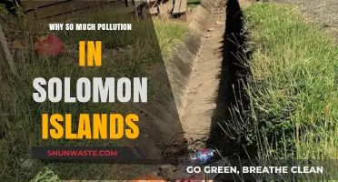 Unveiling the Causes of Solomon Islands' Alarming Pollution Crisis