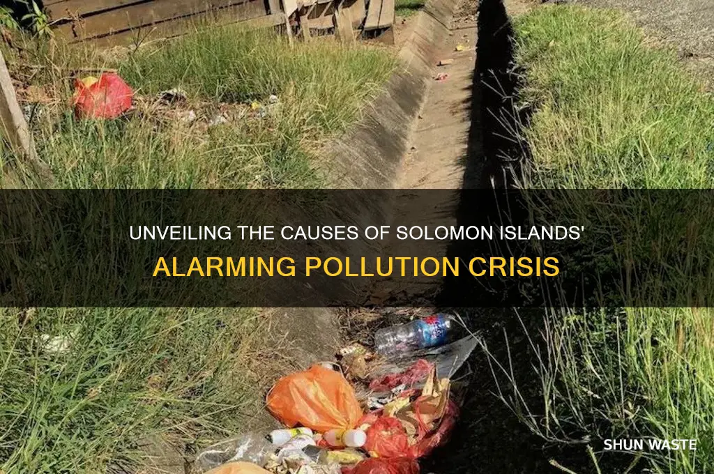 why so much pollution in solomon islands